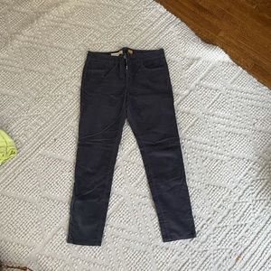 Anthropologie gray corduroy pant